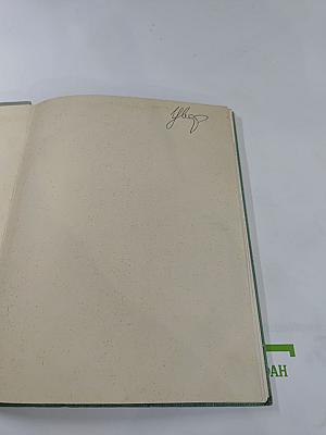 Рядом с Зимним