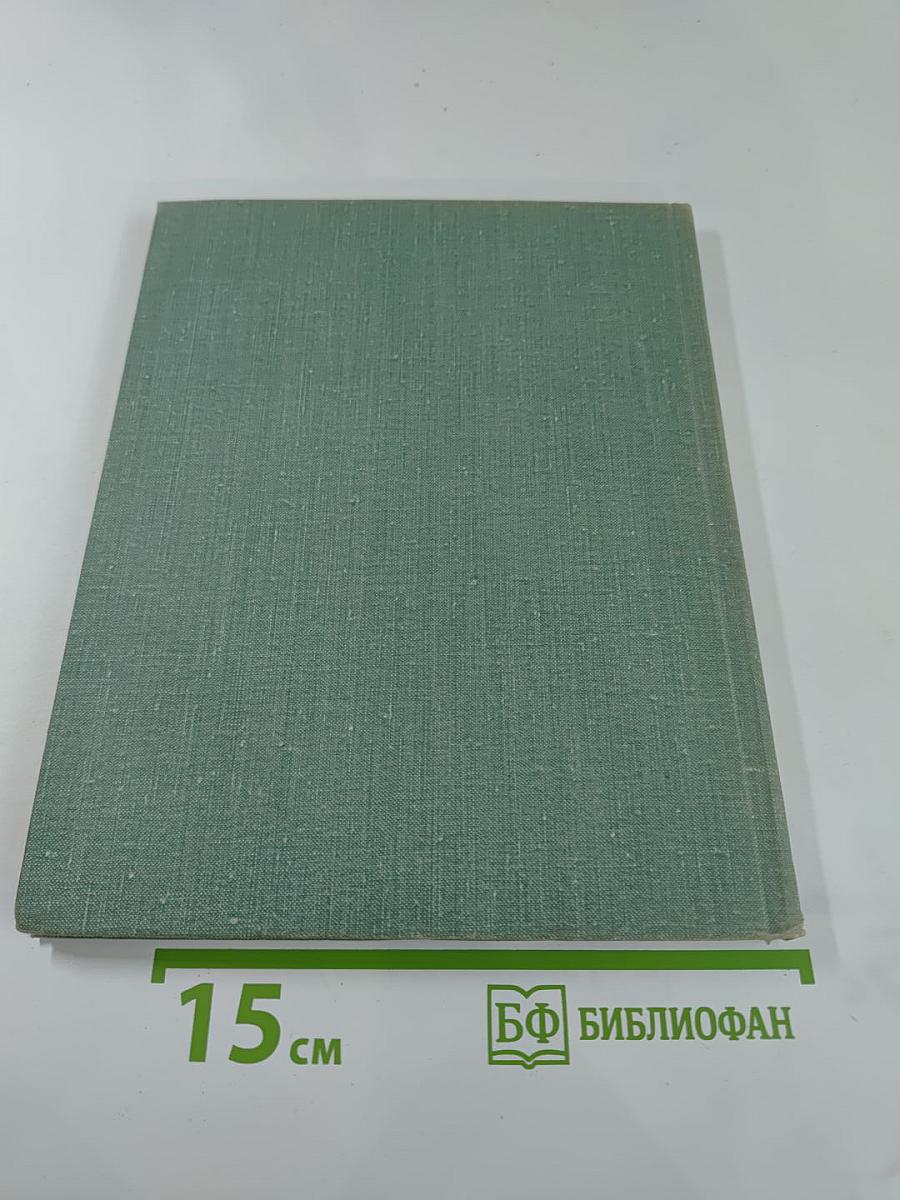 Рядом с Зимним