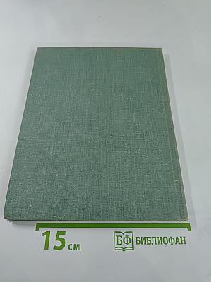 Рядом с Зимним