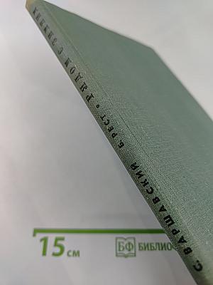 Рядом с Зимним