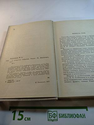 С открытым забралом