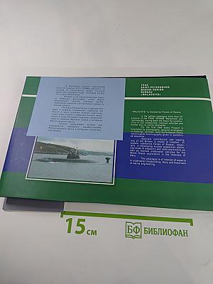 "Малахит" — Подводным силам России