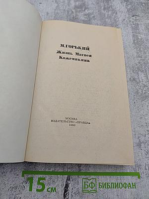 Жизнь Матвея Кожемякина