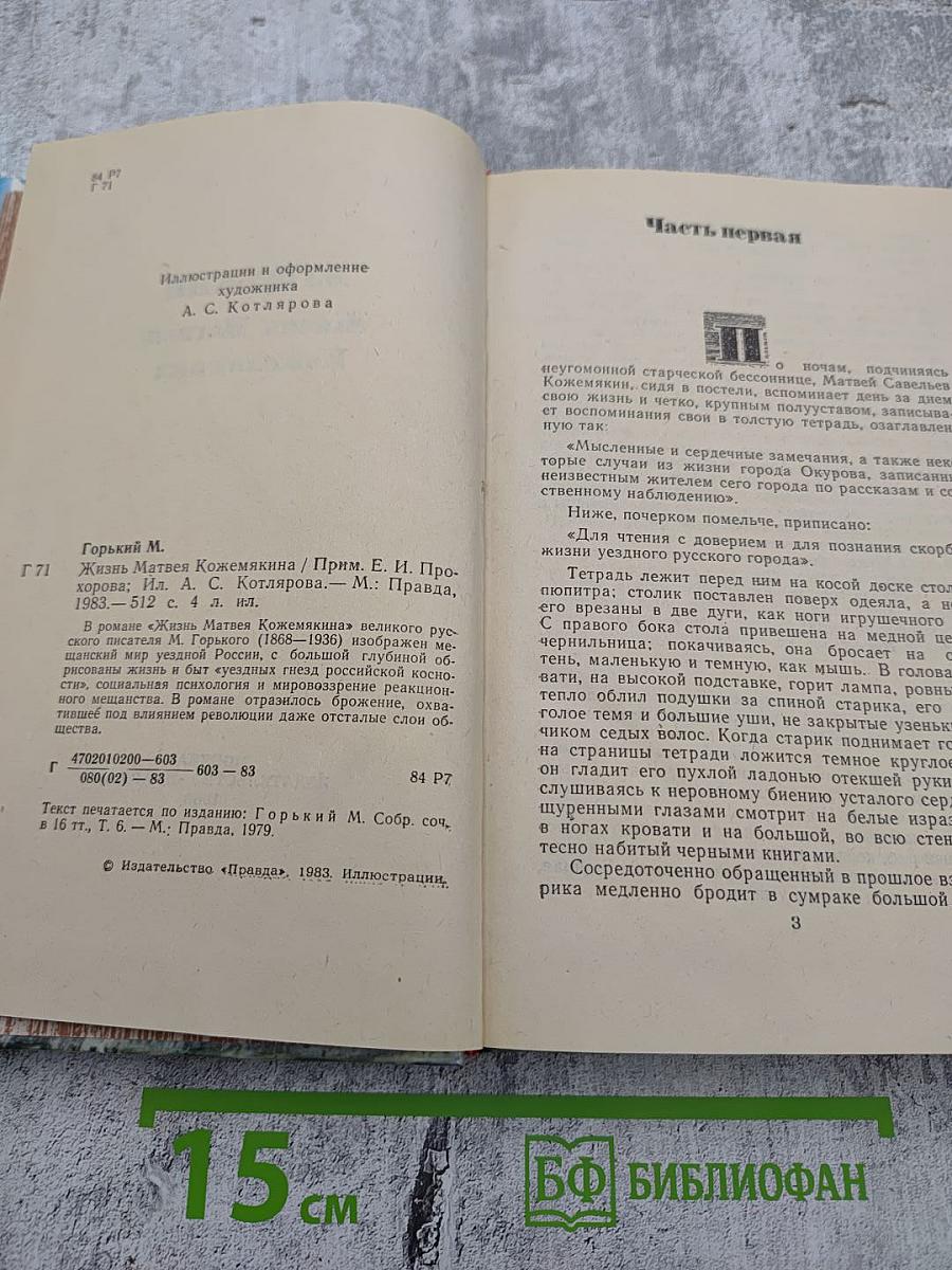 Жизнь Матвея Кожемякина