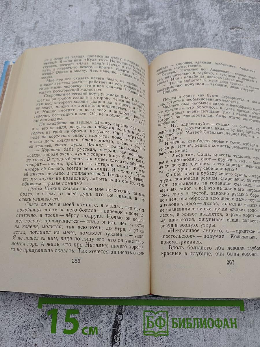 Жизнь Матвея Кожемякина