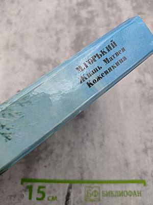 Жизнь Матвея Кожемякина