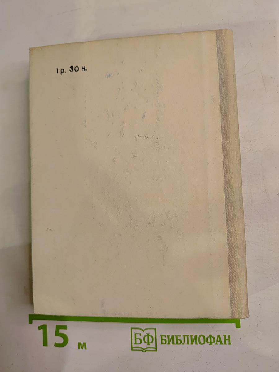 Белинский в Петербурге