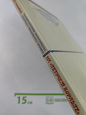 Необыкновенные приключения разумного медвежонка Прошки на «Летучем корабле». Книга вторая