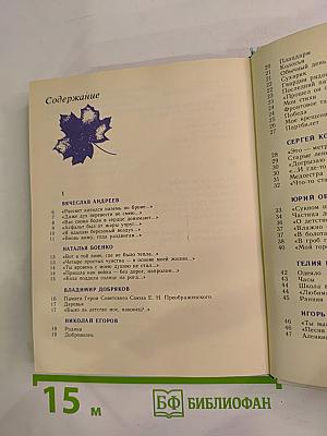 Невские просторы. Стихи