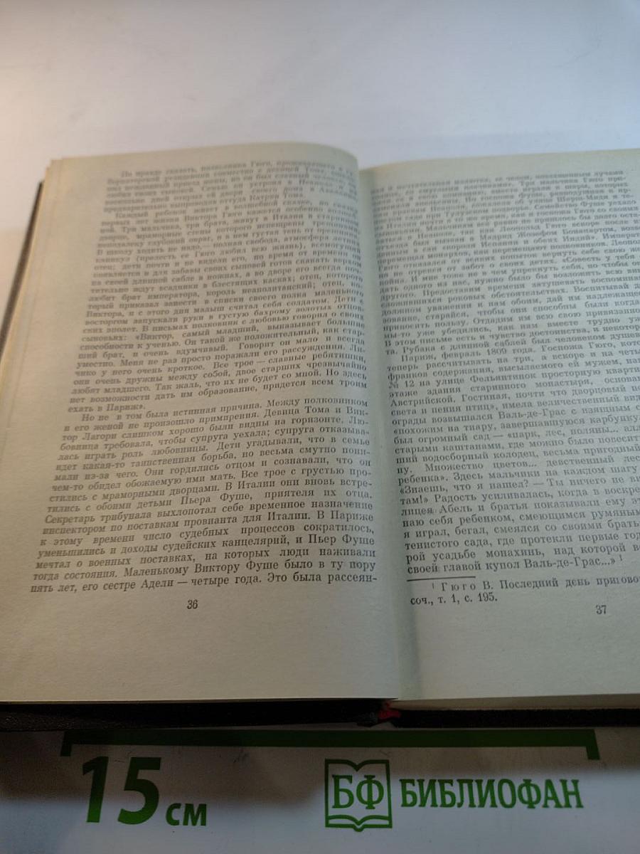 Олимпио, или Жизнь Виктора Гюго