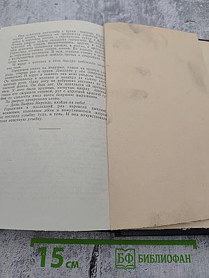 Диана Минерва Венера