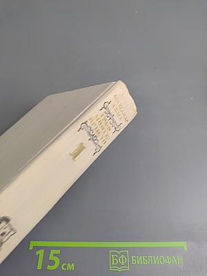 Граф Монте-Кристо. Том 1