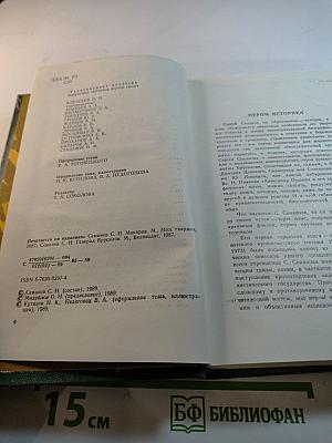 Макаров, Брусилов