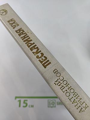 Пескариная уха