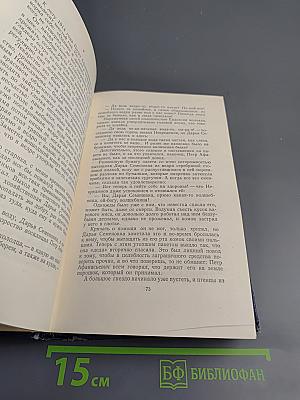 Преображение России. Том восьмой. Эпопея