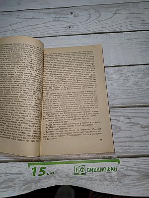 Очерки бурсы