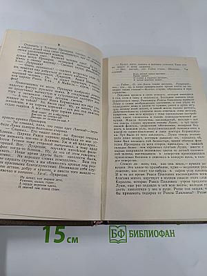 Горное гнездо