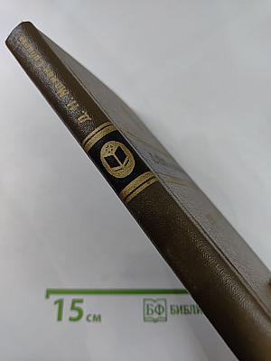 Горное гнездо