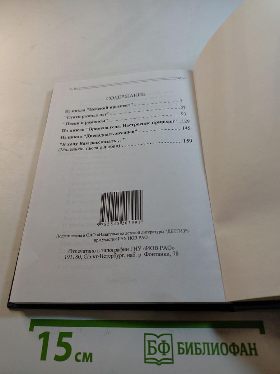 Невский проспект. Стихи и песни