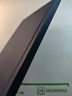 Невский проспект. Стихи и песни