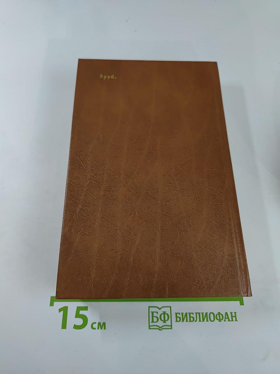 Разин Степан