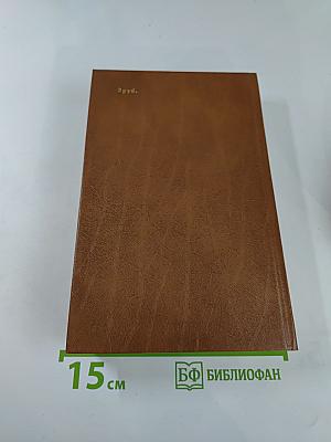 Разин Степан