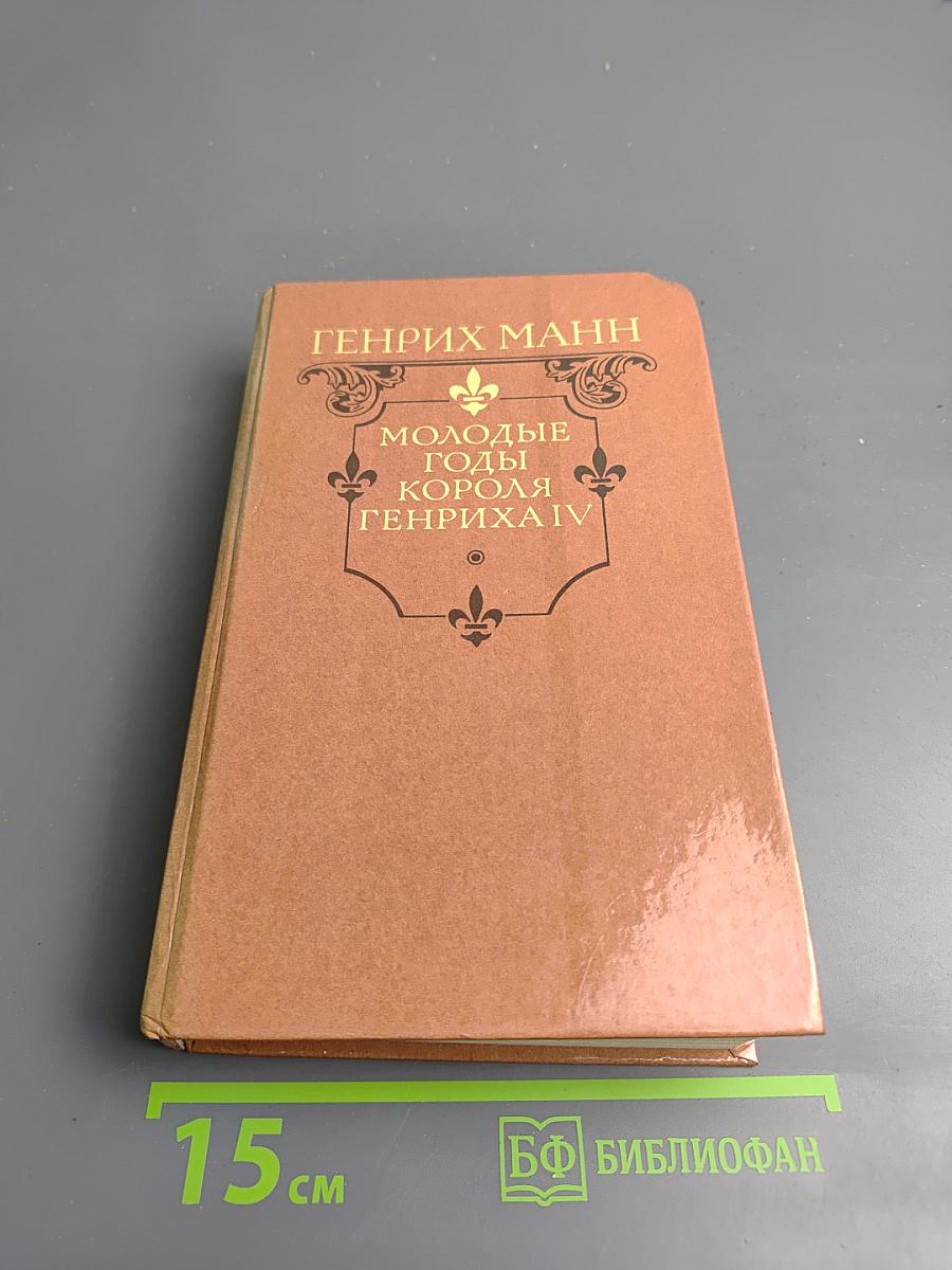 Молодые годы короля Генриха IV