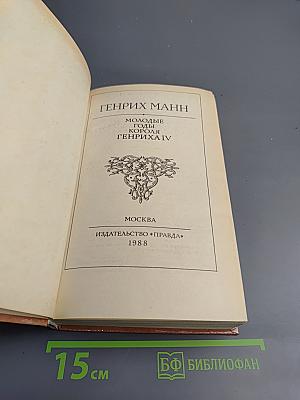 Молодые годы короля Генриха IV