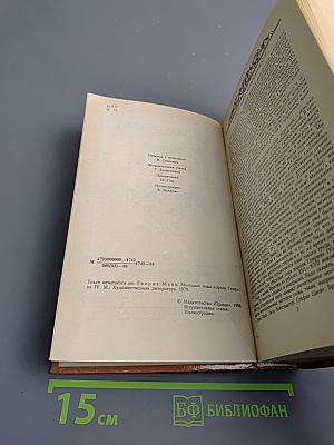 Молодые годы короля Генриха IV