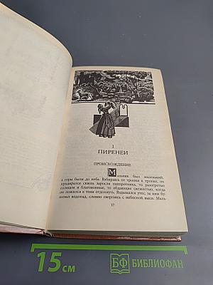 Молодые годы короля Генриха IV