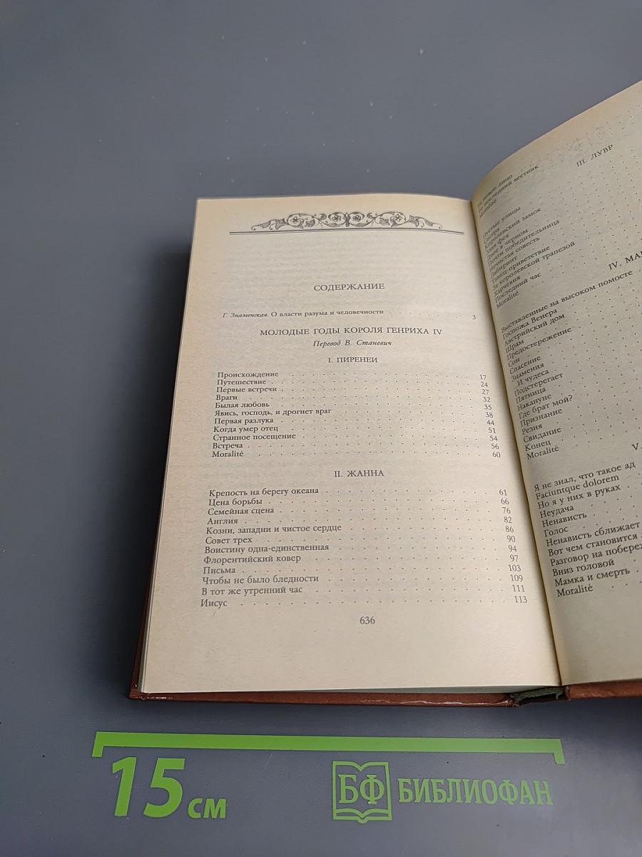 Молодые годы короля Генриха IV