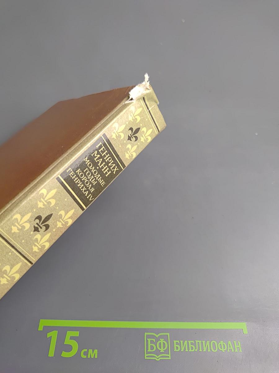 Молодые годы короля Генриха IV