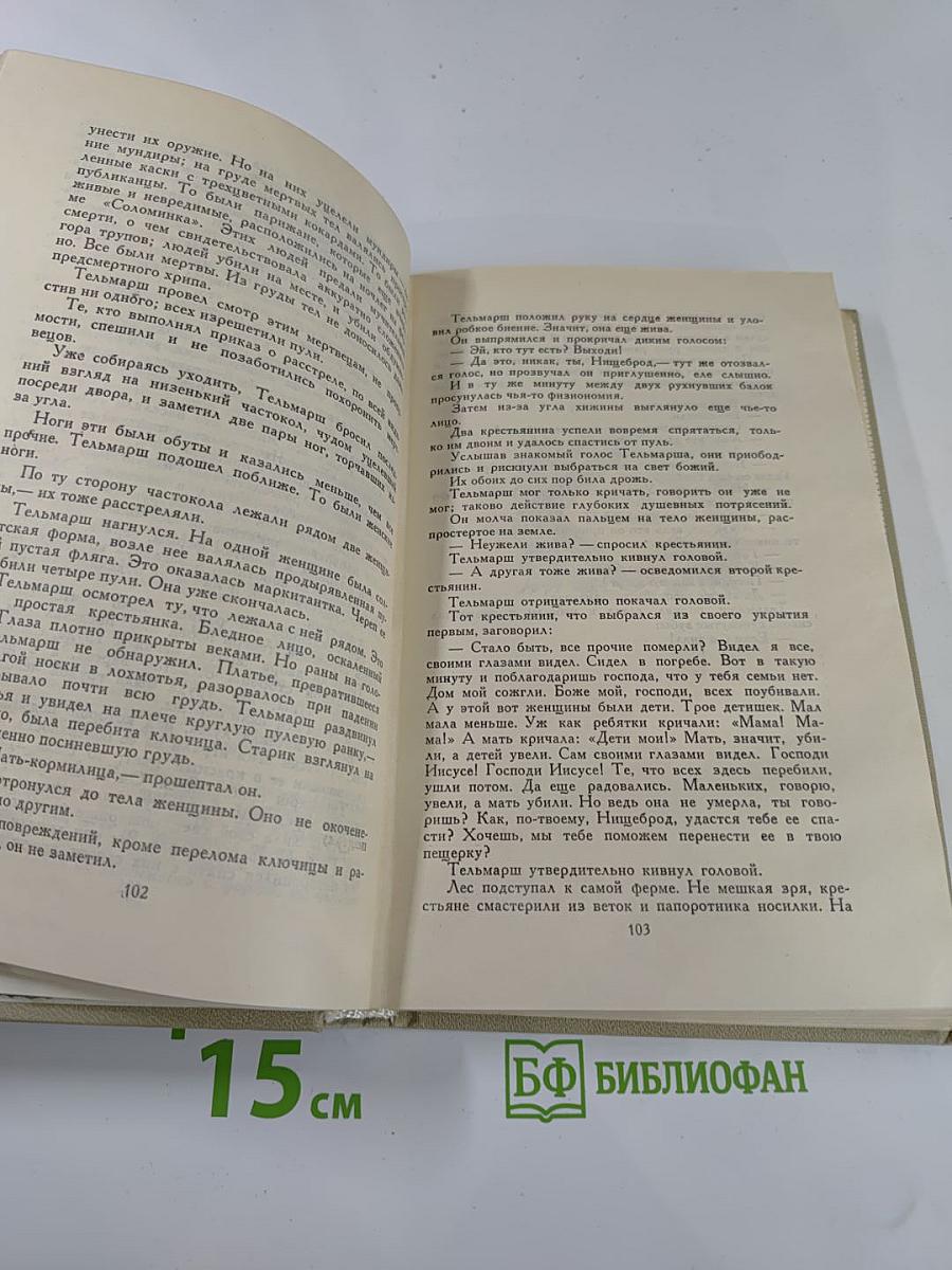 Девяносто третий год