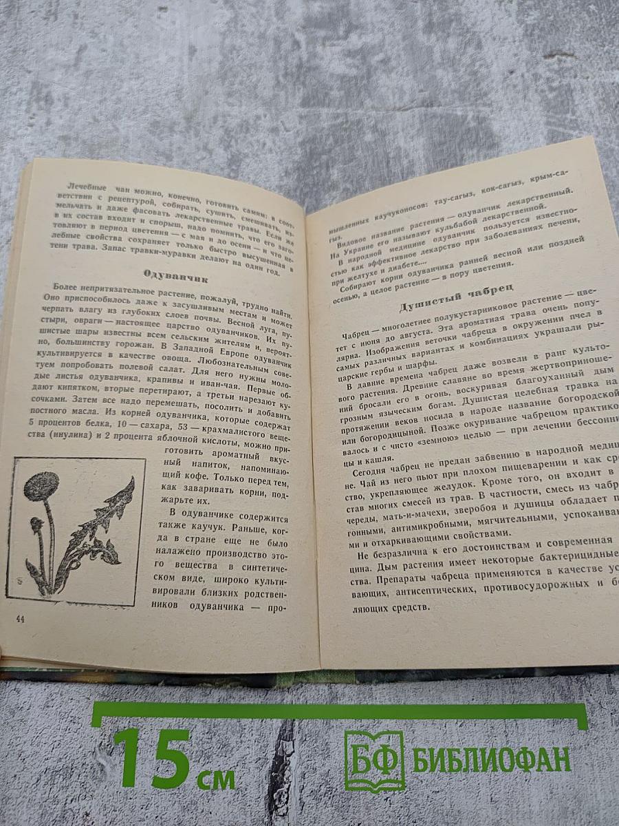 Сокровища Южного края