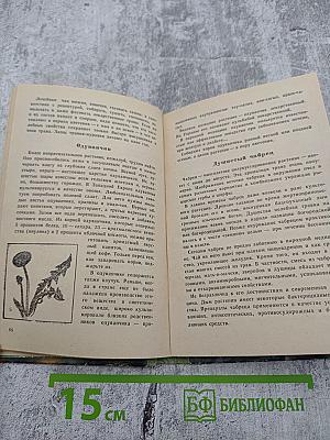 Сокровища Южного края