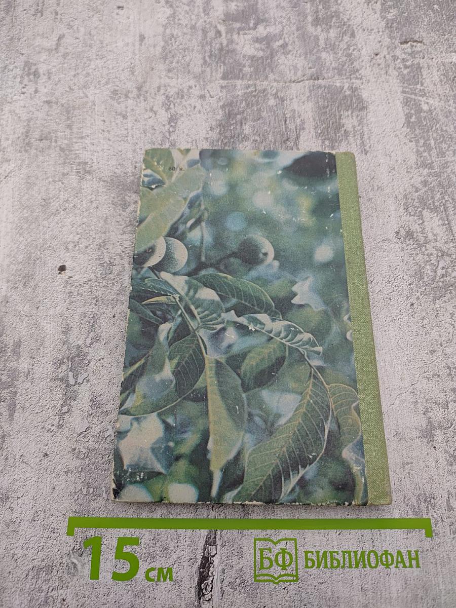 Сокровища Южного края