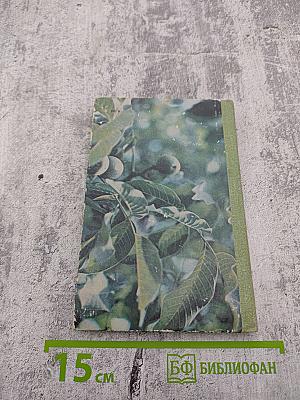 Сокровища Южного края