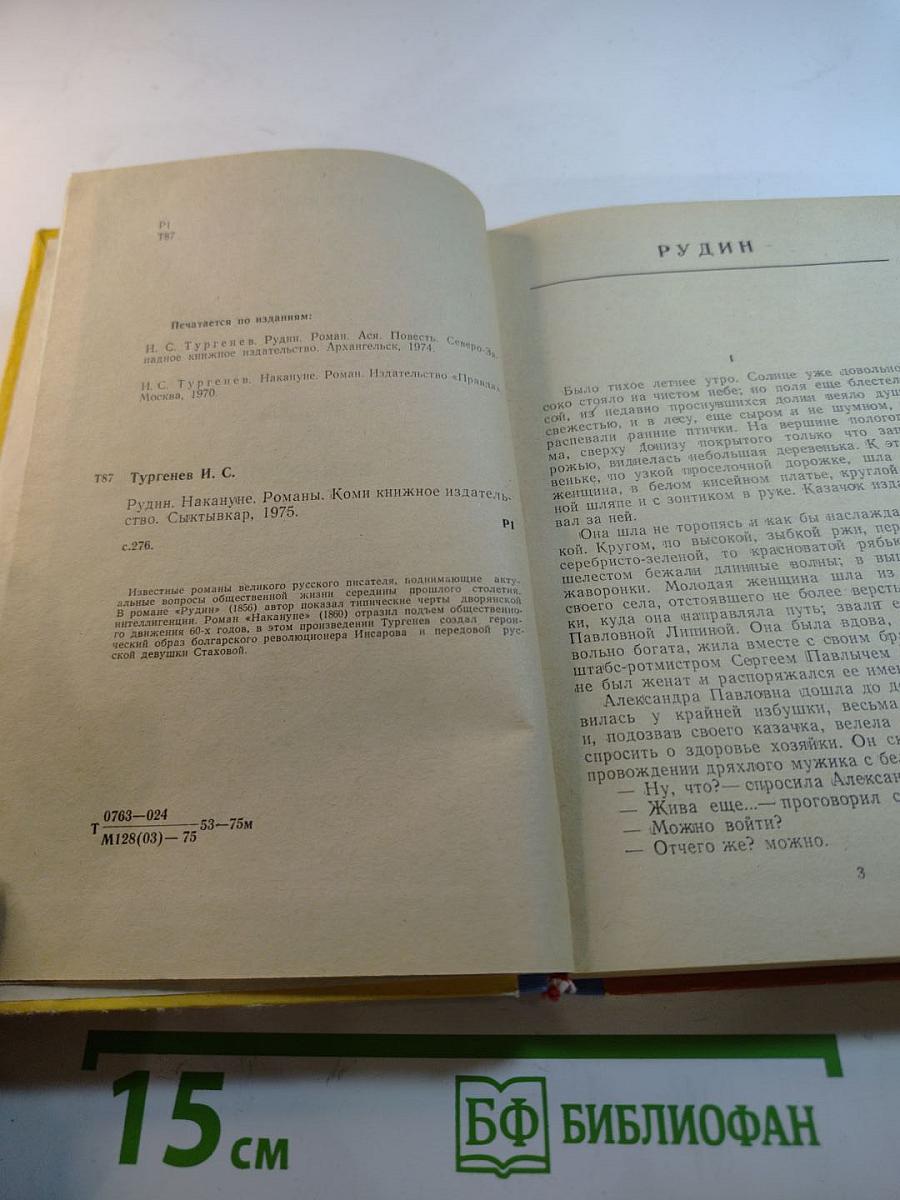 Рудин. Накануне