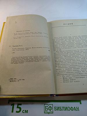 Рудин. Накануне