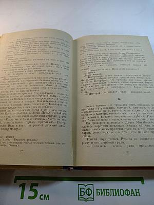 Рудин. Накануне