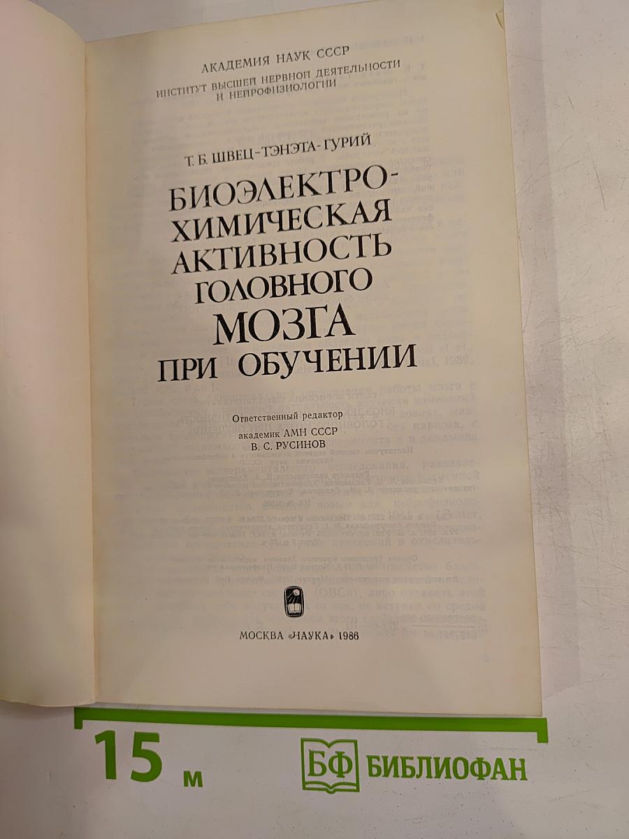 Биоэлектрохимическая активность головного мозга при обучении