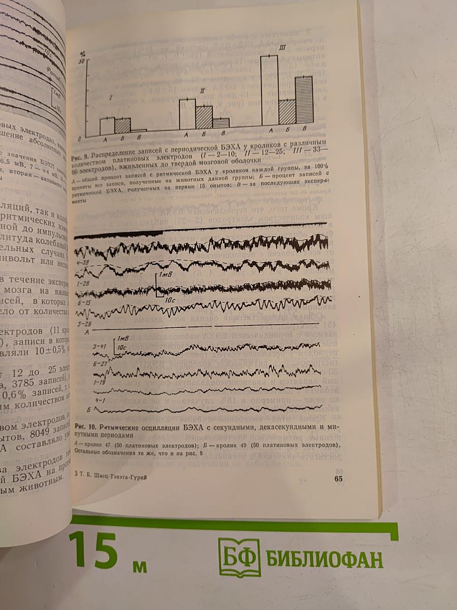 Биоэлектрохимическая активность головного мозга при обучении