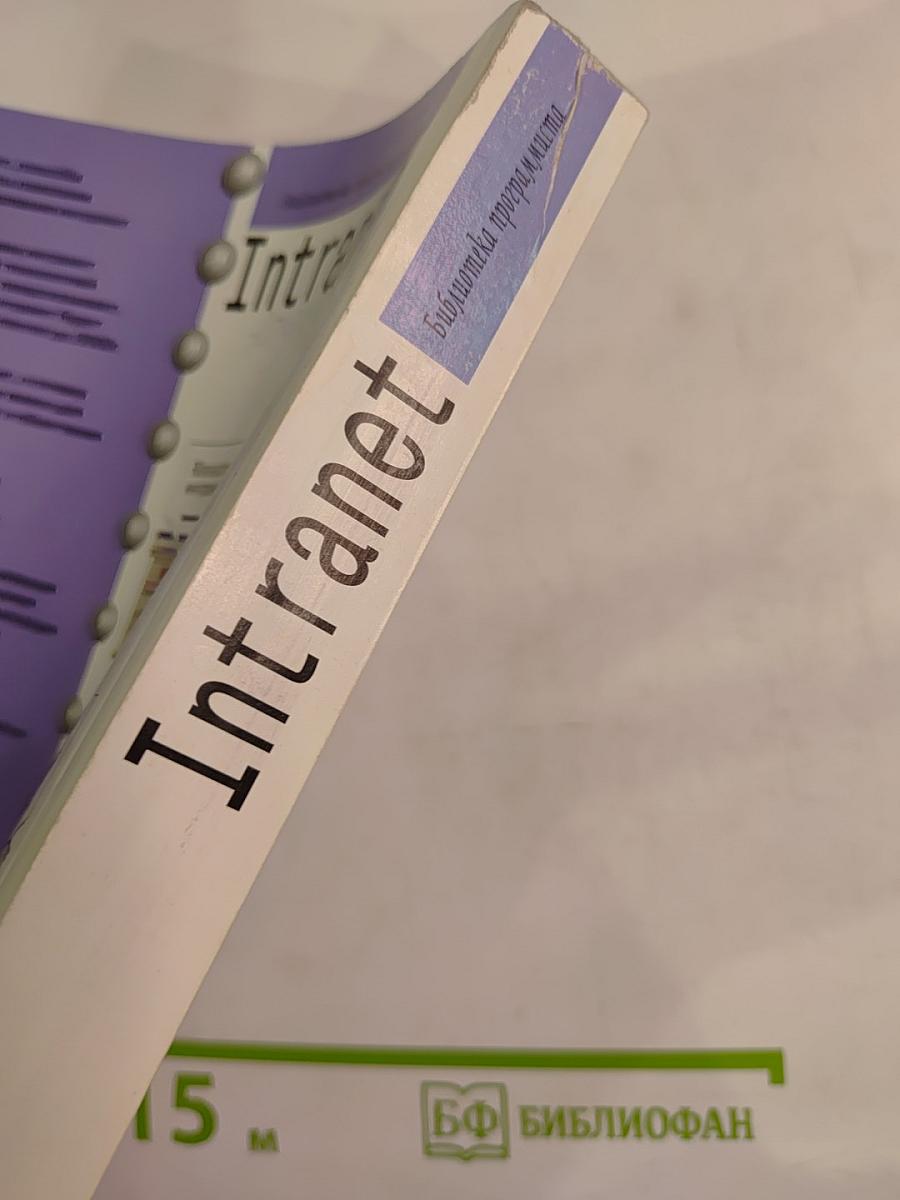 Intranet: Основы новейших технологий