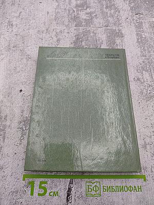 Некрасов в Петербурге