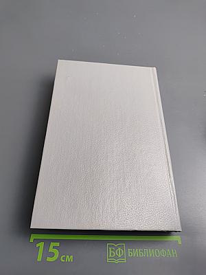 Никогда не люби незнакомца. Стилет. 2 том