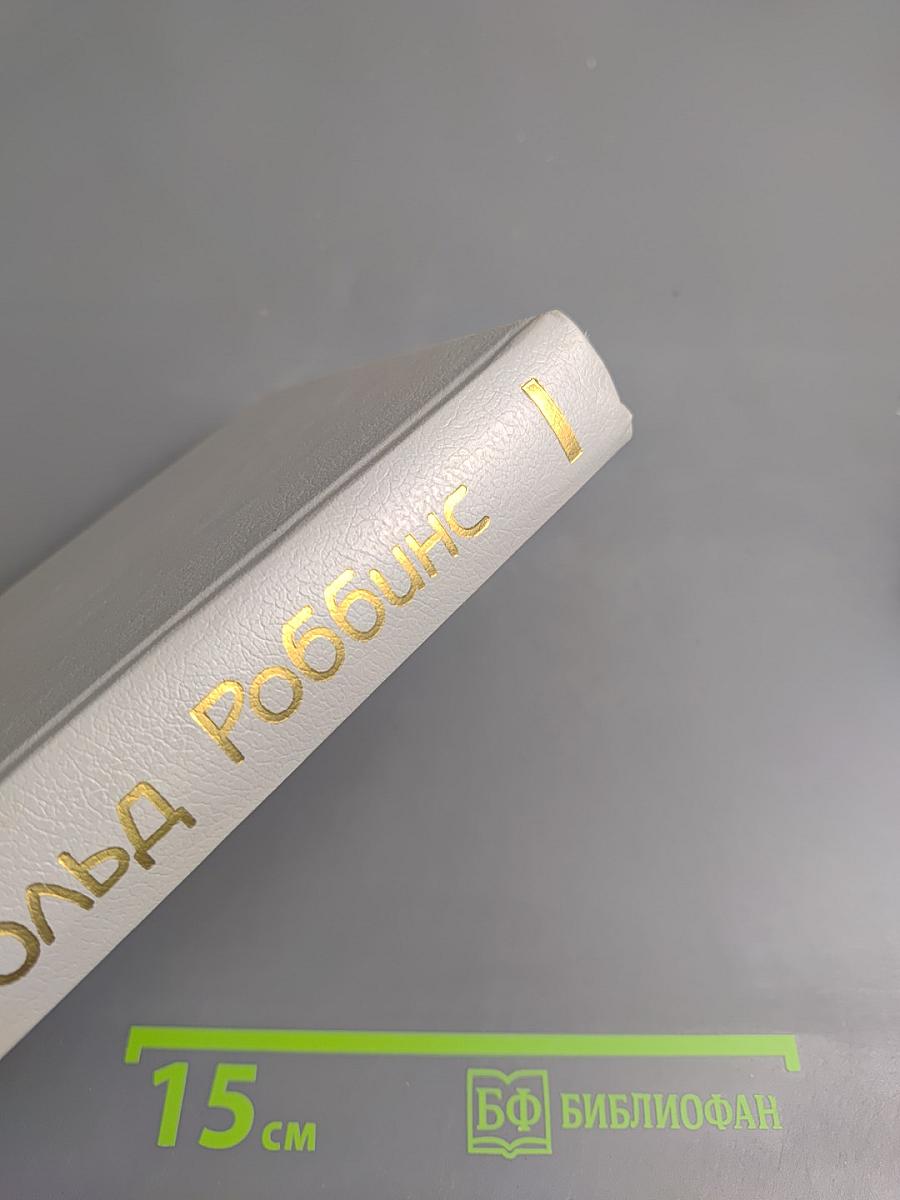 Никогда не люби незнакомца. Стилет. 2 том