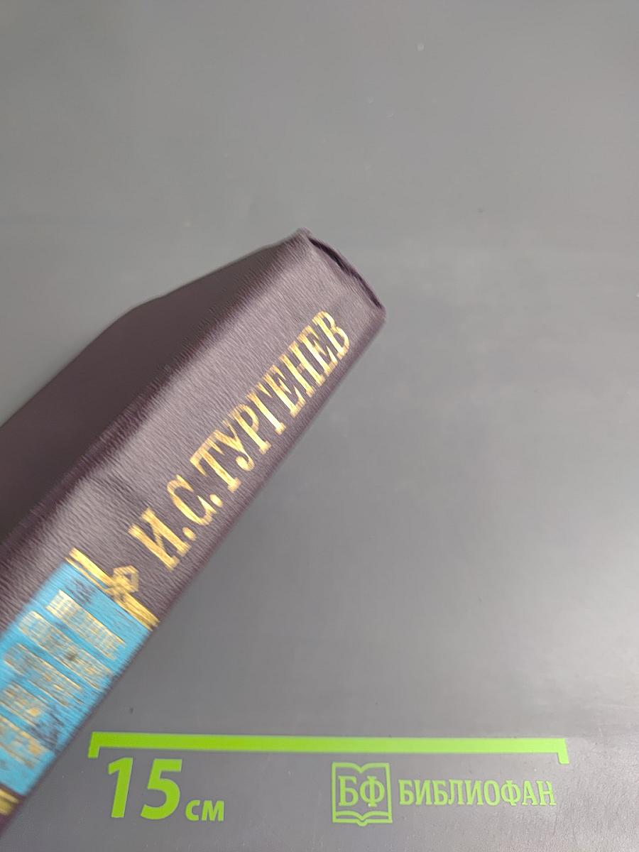 Сочинения. Том шестой: Дворянское гнездо, Накануне, Первая любовь