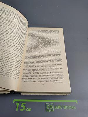 Белый ягуар. Вождь араваков