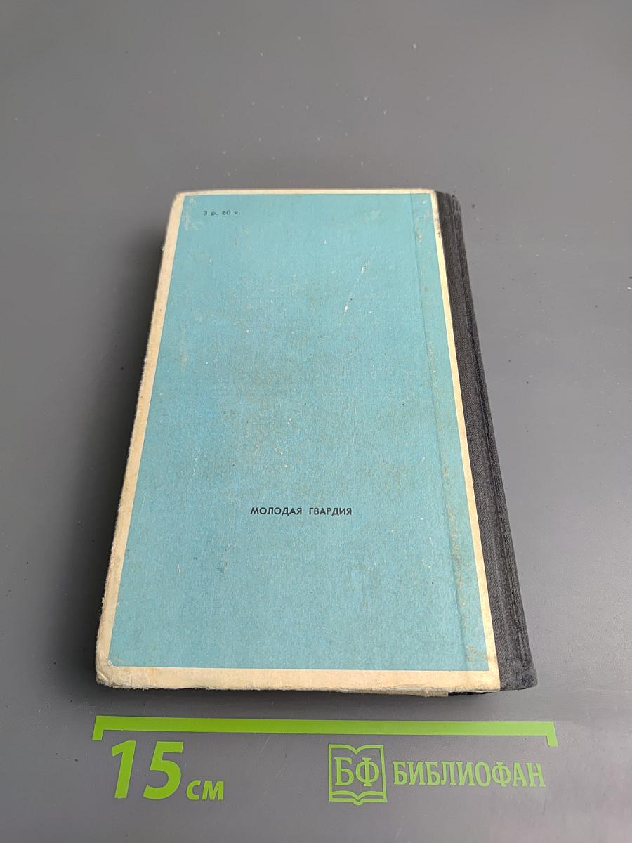 Белый ягуар. Вождь араваков