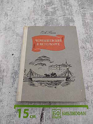 Чернышевский в Петербурге